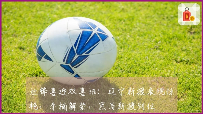 杜锋喜迎双喜讯：辽宁新援表现惊艳，李楠解禁，黑马新援到位