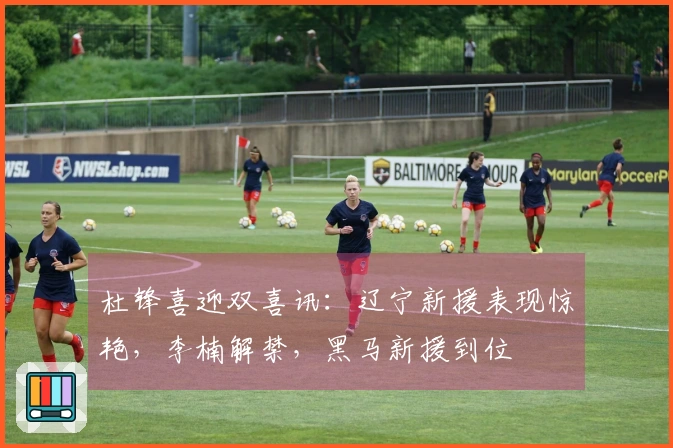 杜锋喜迎双喜讯：辽宁新援表现惊艳，李楠解禁，黑马新援到位