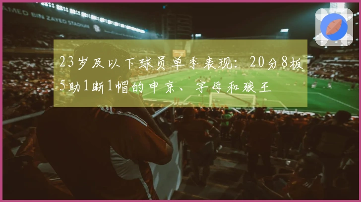 23岁及以下球员单季表现：20分8板5助1断1帽的申京、字母和狼王