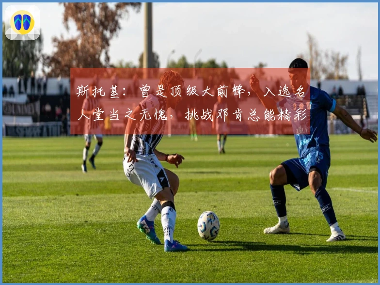 斯托基:曾是顶级大前锋,入选名人堂当之无愧,挑战邓肯总能精彩扣篮